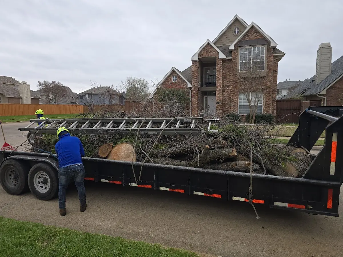 Expert Tree Fertilization with proper safety equipment in Plainfield